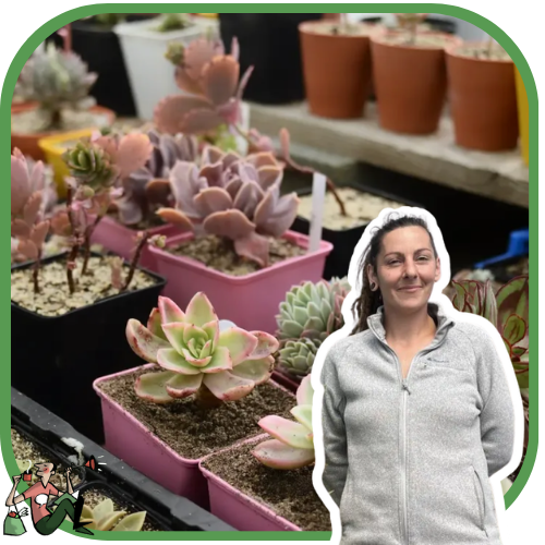 événements mai L’épicerie de Fontaine daniel  atelier plantes succulentes